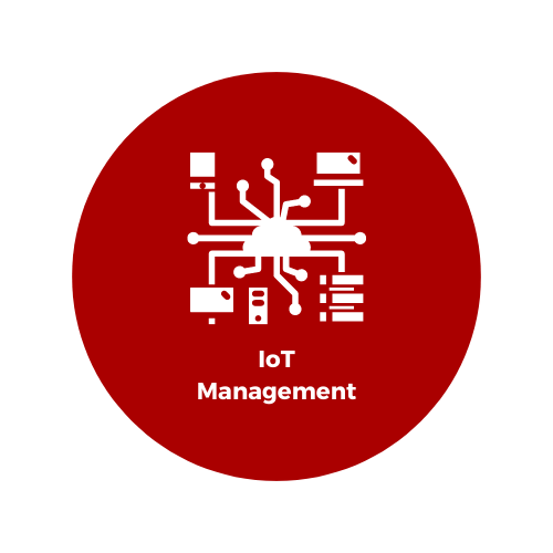 IoT Management